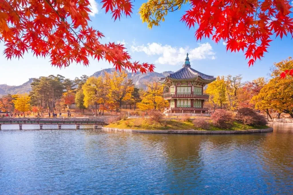 Gyeongbokgung palace with Maple leaves