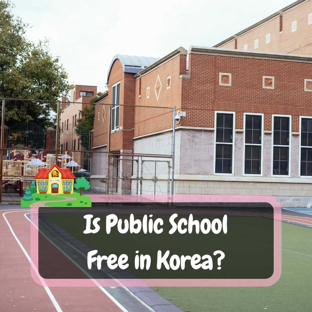 Is Public School Free In Korea TheKoreanGuide