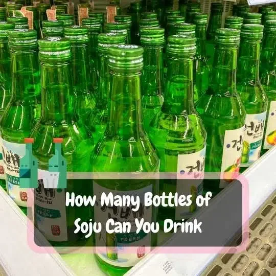 how many bottles of soju can you drink