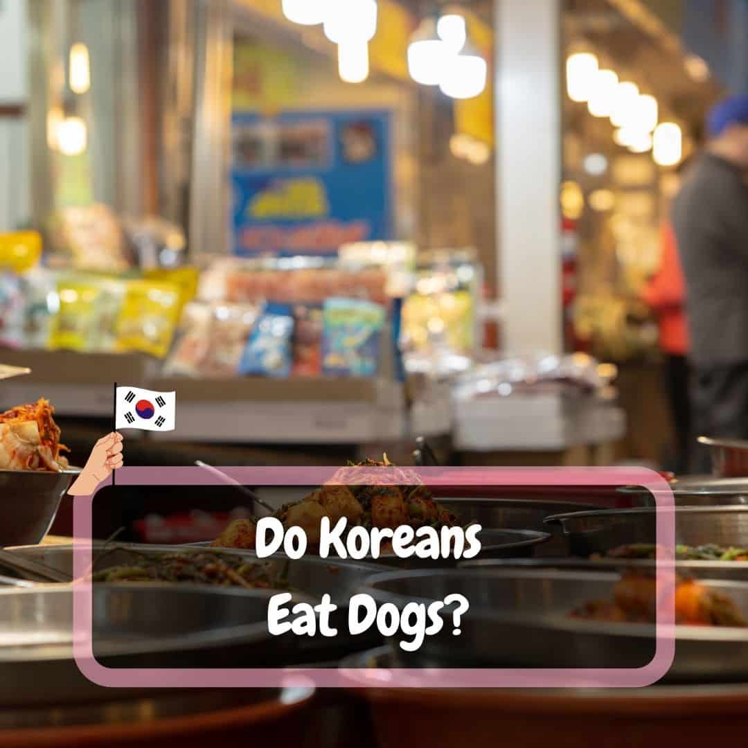 Do Koreans Eat Dogs? (The Shocking Facts!)